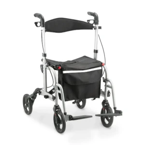 Andador Cadeira 2 em 1 D15